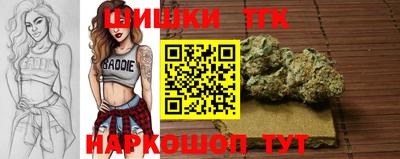 винт Новозыбков