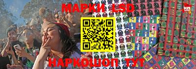 винт Новозыбков