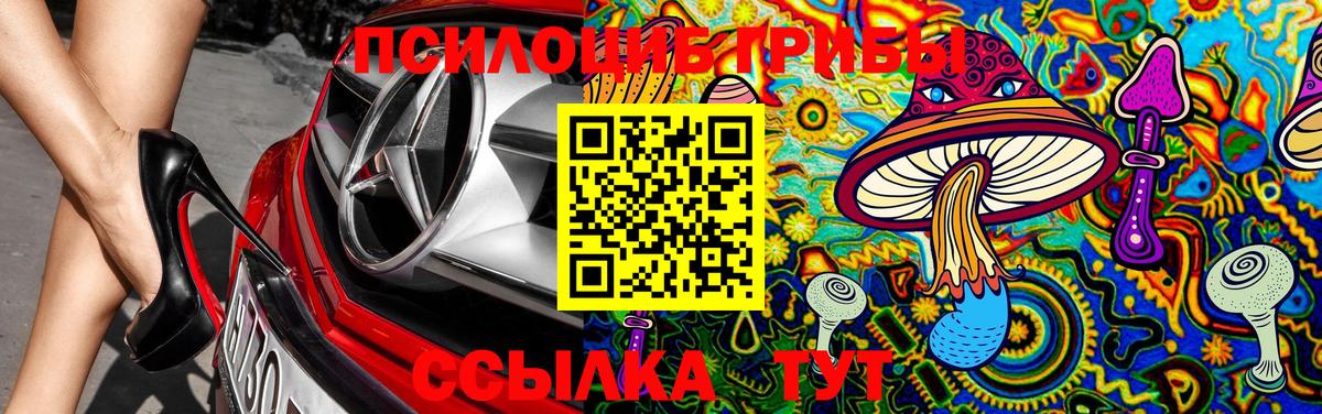 Псилоцибиновые грибы MAGIC MUSHROOMS Обнинск